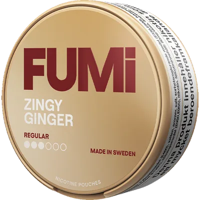 Fumi Zingy Ginger Regular