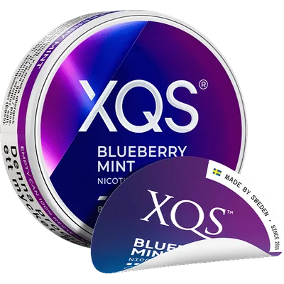 XQS Blueberry Mint Extra Strong