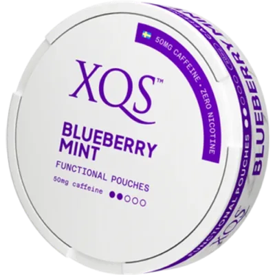 XQS Blueberry Mint Functional Pouches