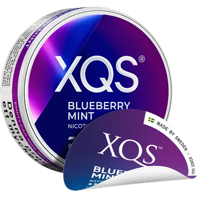 Xqs Blueberry Mint 8 mg