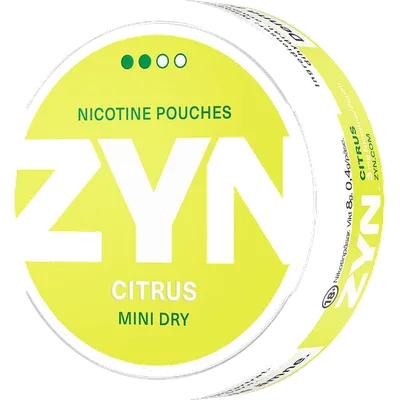 Zyn Citrus Mini Dry