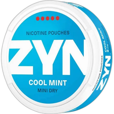 ZYN Cool Mint Mini Dry | 6 mg